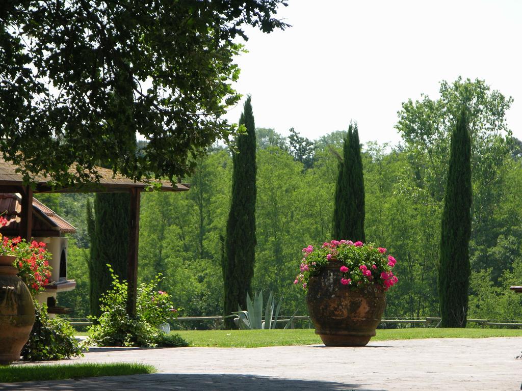 Podere Il Giurato Fauglia Zewnętrze zdjęcie