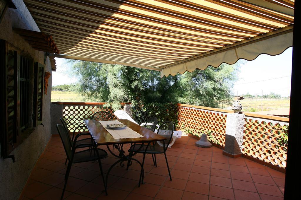Podere Il Giurato Fauglia Pokój zdjęcie